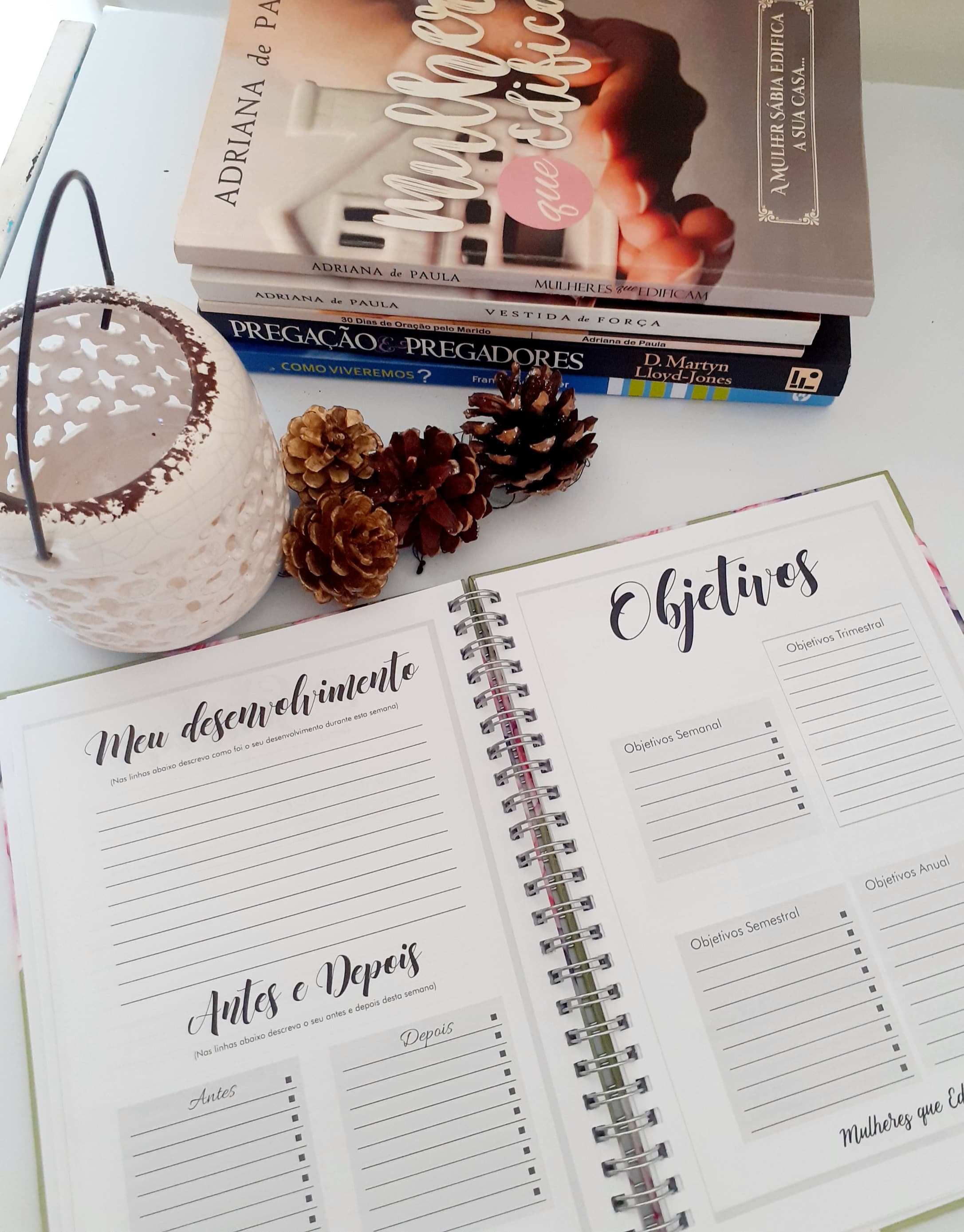 Como usar o planner Mulheres que Edificam